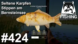 Auf Seltene Karpfen mit Stippe am Bernsteinsee an 2 Spots | #RF4 | Russian Fishing 4 #424 | Deutsch