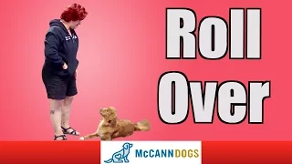 Dog Tricks: Teach Your Dog To Roll Over On Command