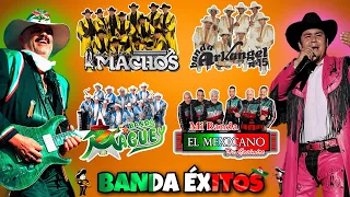 Banda Machos, Banda El Mexicano, Banda Maguey ... y Mas - Quebradita Para Bailar de Los 90's Mix