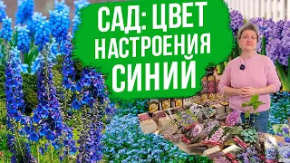 Монохромный сад с Оксаной Пискаревой. Цветочные композиции в сине-фиолетовом оттенке.