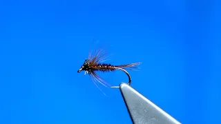 Tying a Pheasant Tail Soft Hackle/Wet with Davie McPhail