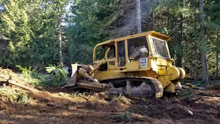 D7F land clearing