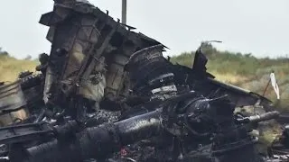 What happened to Malaysia Airlines Flight 17?