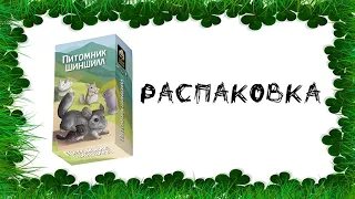 "Питомник шиншилл"- Распаковка первой настольной игры издательства "Доброе хобби"