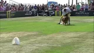 Flying Disc 3rd Place - Incredible Dog Challenge 2015 Huntington Beach, CA