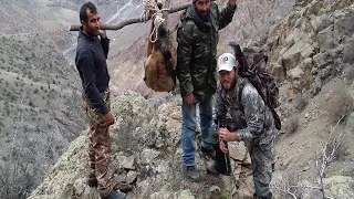 Bezoar Ibex Hunting in TURKEY Dusty Phillips&TURKISH FRONTIER