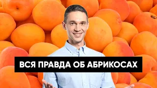 Вся правда об АБРИКОСАХ