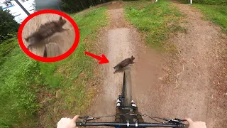 Schlammschlacht im Bikepark! Eichhörnchen überfahren? 🐿️