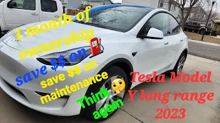 Tesla Model Y 2023. sharing experience after 1 month of ownership. NO savings $$$