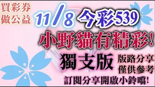 11/8 今彩539 小野貓有"精彩"539 獨支版路分享 非小野貓不可~❤★★❤