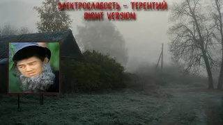 Электрослабость Терентий ♂Gachi Remix♂