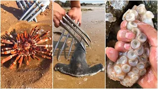 Fisherman Catching Seafood's 🦐🦀 Deep Sea Octopus Catch Crab, Catch Fish /P160