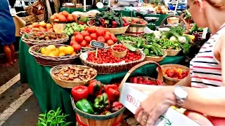 The BEST Farmer’s Market in Miami!