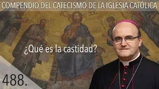 nº 488 ¿Qué es la castidad?