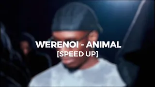 Werenoi - Animal [speed up]