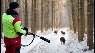 ACHTUNG, Sauen rücken beim Anstellen! Drückjagd Film 2023