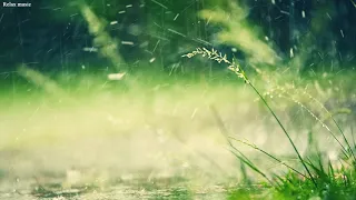 輕鬆的音樂和輕柔的雨聲 - Beautiful Piano Music for Relaxation & Sleep