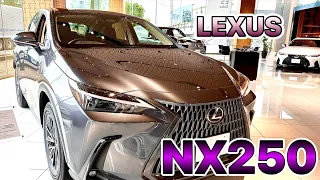 LEXUS CAR LEXUS NX 250 new 2023 arrival #lexus #lexus250nx #lexusnx250