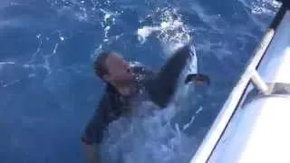 Man Attacks Shark