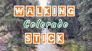 DIY Making a Colorado Walking Stick