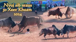 Nyuj sib nraus peb caug Xeev Khuam 2024 (Hnub xiab 4)