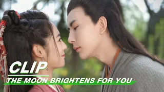 Clip: Lin Fang Is Enchanted With Love Potion | The Moon Brightens for You EP31 | 明月曾照江东寒 | iQIYI