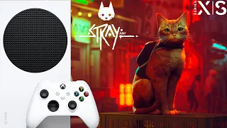 Stray ТВОЙ МИЛЫЙ КОТИК Xbox Series S 1080p 60 FPS