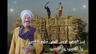 الريس النوبي سليم الاقصري القصب يا القصب