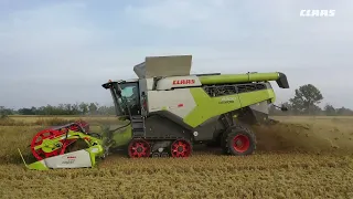 CLAAS In Campo 2022 | LEXION  8700 TT nel pavese