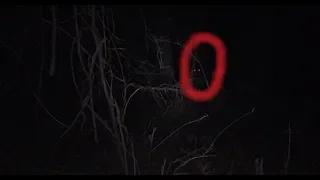 He Tree Knocks For Bigfoot Sasquatch At Night And Total Chaos Ensues