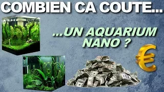 COMBIEN CA COUTE  un aquarium nano ?