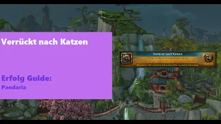 World of Warcraft | Erfolg Guide - Verrückt nach Katzen