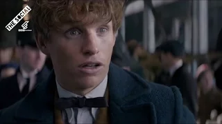 Scottish trailers - Fantastic Beasts