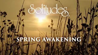 Dan Gibson’s Solitudes - The Majesty of Sunrise | Spring Awakening