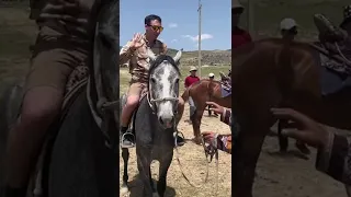 #Horses in #Surkhondaryo #Uzbekistan