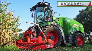 Mais Silage | Fendt Katana 650 | Mechan Groep | BMWW | 2020