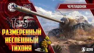 TS-5 / Неспешный танк со спешным орудием / Его главная сила в его орудие / Tanks Blitz