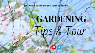 GARDENING Tips & Tour | INCRadio San Francisco, CA | June 1, 2024