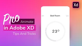 Adobe XD Pro tips & tricks 003 | Number Counter & Pie chart Path Fill l auto animate