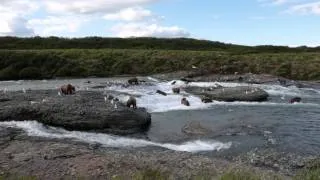 6 minutes of brown bear viewing at McNeil River Alaska (wide angle)