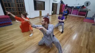 Shaolin Kung Fu #shaolin #kungfu