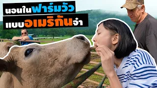 U.S.A. Ep. 7 | ใช้ชีวิตกับชาวไร่ในอเมริกา | A Farm Life, Arkansas