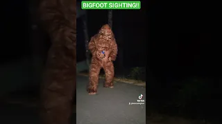 BIGFOOT sighting in MAINE!!   #bigfoot #scary #sasquatch #bigfootisreal #tiptoe #viral  #viralvideo