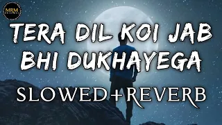 TERA DIL KOI JAB BHI DUKHAYEGA [SLOWED+REVERB] | Swapneel Jaiswal | MRM ORIGINAL #diltodke #sadsong