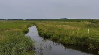 ЛОВЛЯ ЩУКИ НА РЕЧКЕ! Рыбалка на поппер, блесну , вибро хвост.