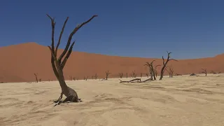 Namib desert in Namibia 4K