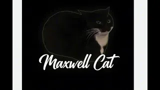 Maxwell cat...