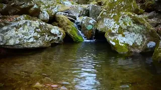 Water Stream Ambience, Soft & Soothing Flowing Water