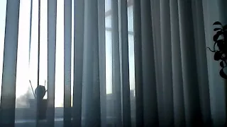 Webcam video from February 25, 2015 07:32 AM (UTC)