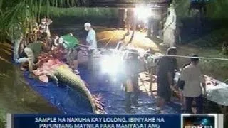 Saksi: Sample ng labi ni Lolong, ibiniyahe na sa Maynila matapos ang kanyang necropsy
